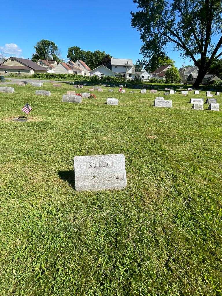 Anna Schiebl's grave. Photo 1