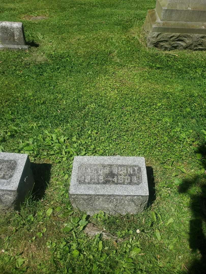Jacob Blint's grave. Photo 3