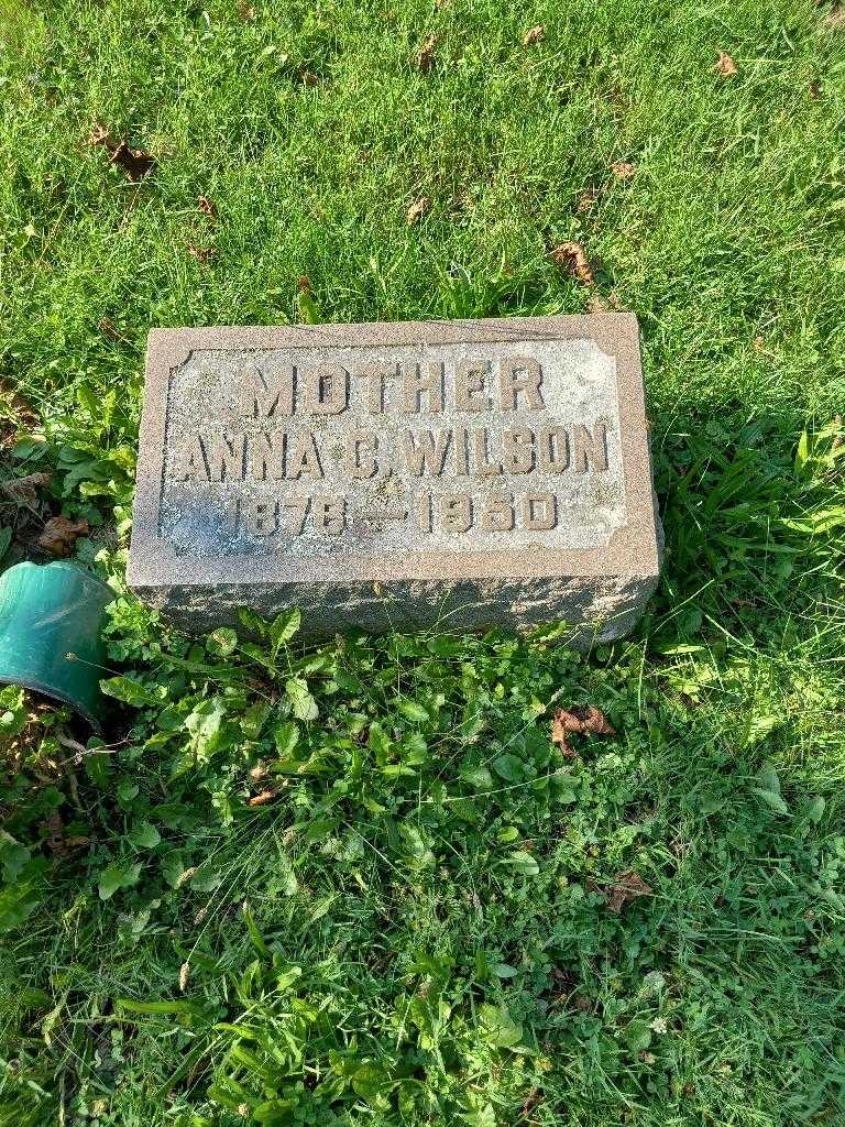 Anna Georgianna Wilson's grave. Photo 1