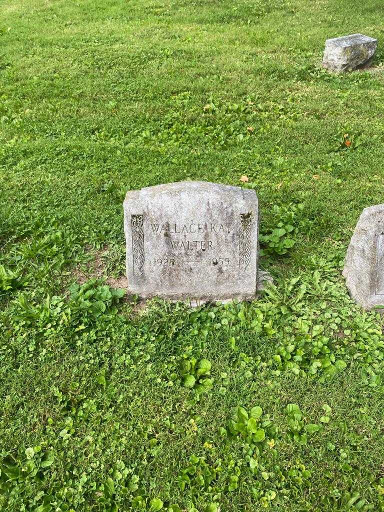Wallace Kay Walter's grave. Photo 2