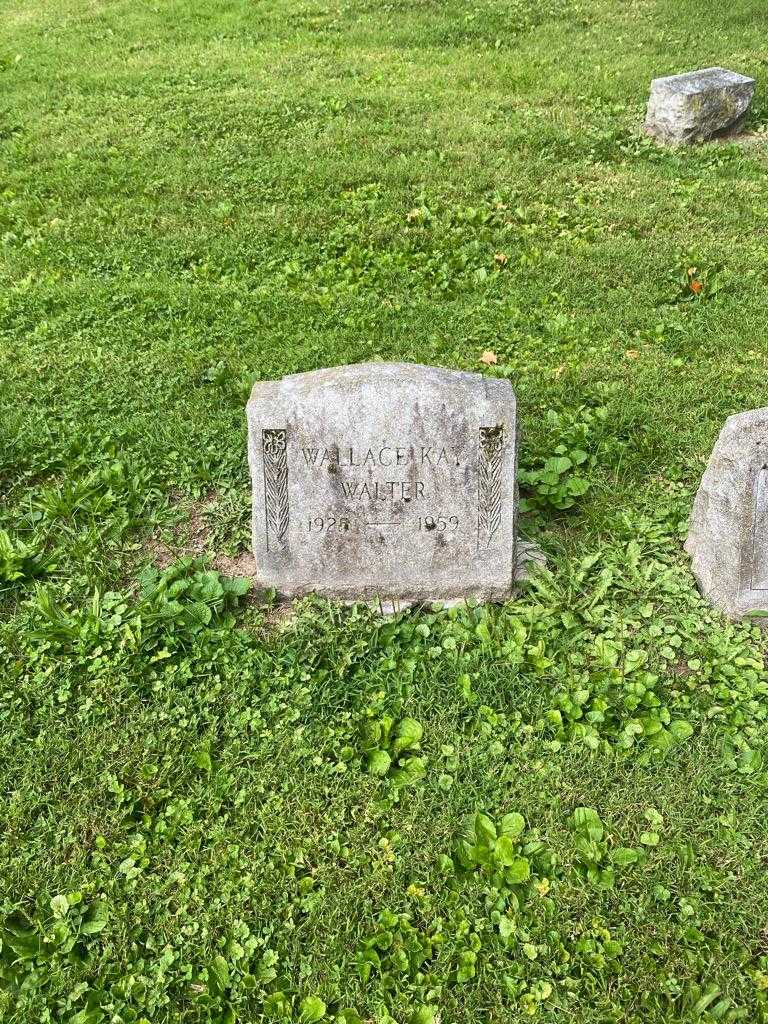 Wallace Kay Walter's grave. Photo 3