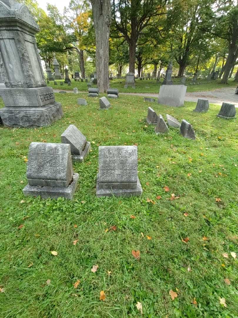 Howard C. Woese's grave. Photo 1