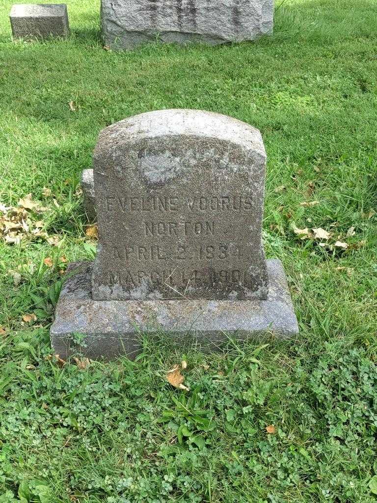 Eveline Norton Voorus's grave. Photo 2