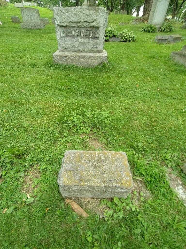 George Mosner's grave. Photo 1