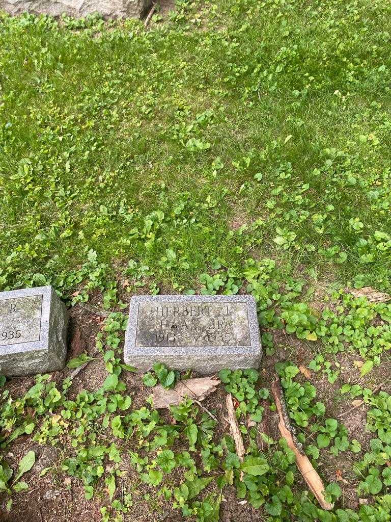 Herbert J. Haas Junior's grave. Photo 2