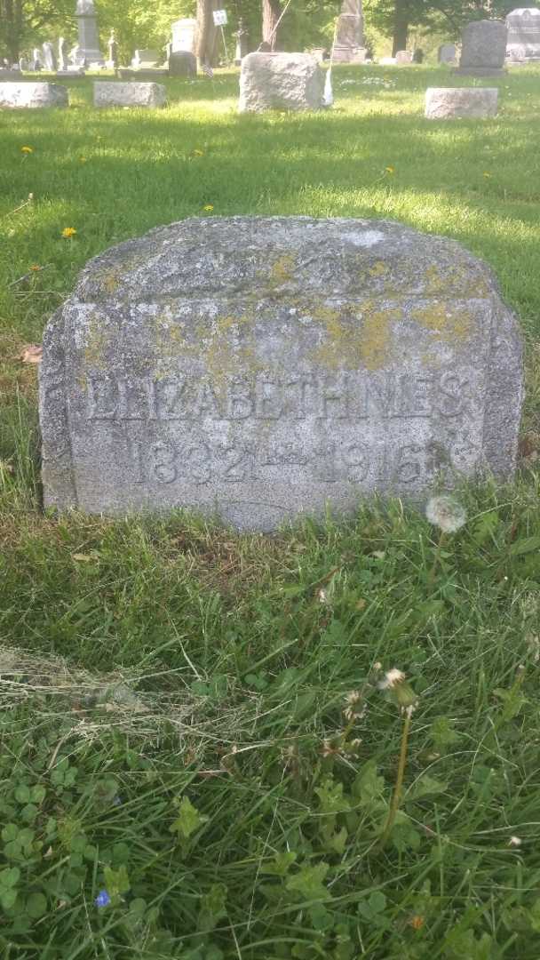 Elizabeth S. Nies's grave. Photo 3
