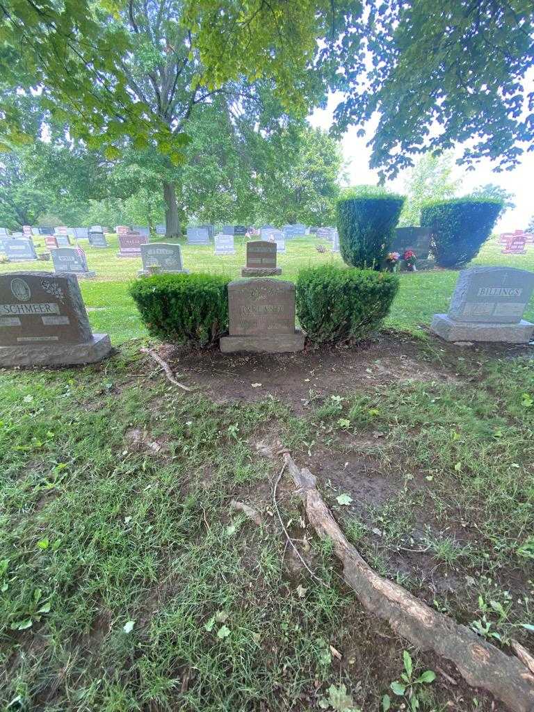 Earle F. Ireland's grave. Photo 1