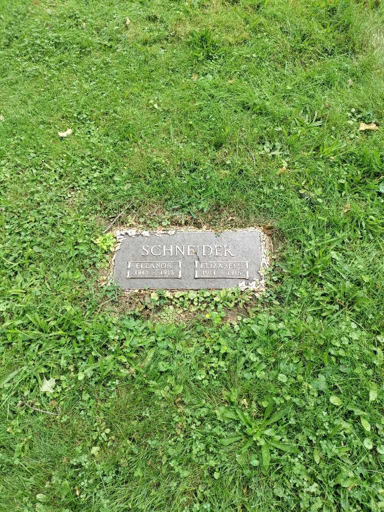 Elizabeth Schneider's grave. Photo 2