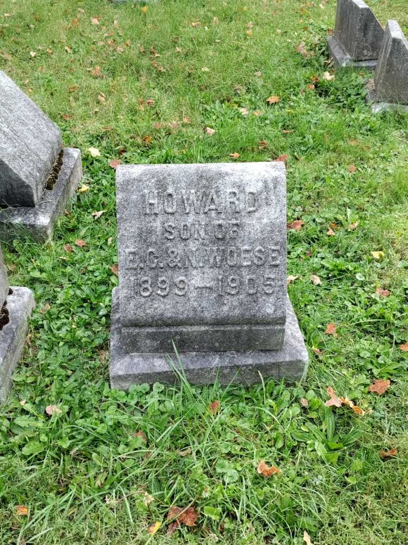 Howard C. Woese's grave. Photo 2