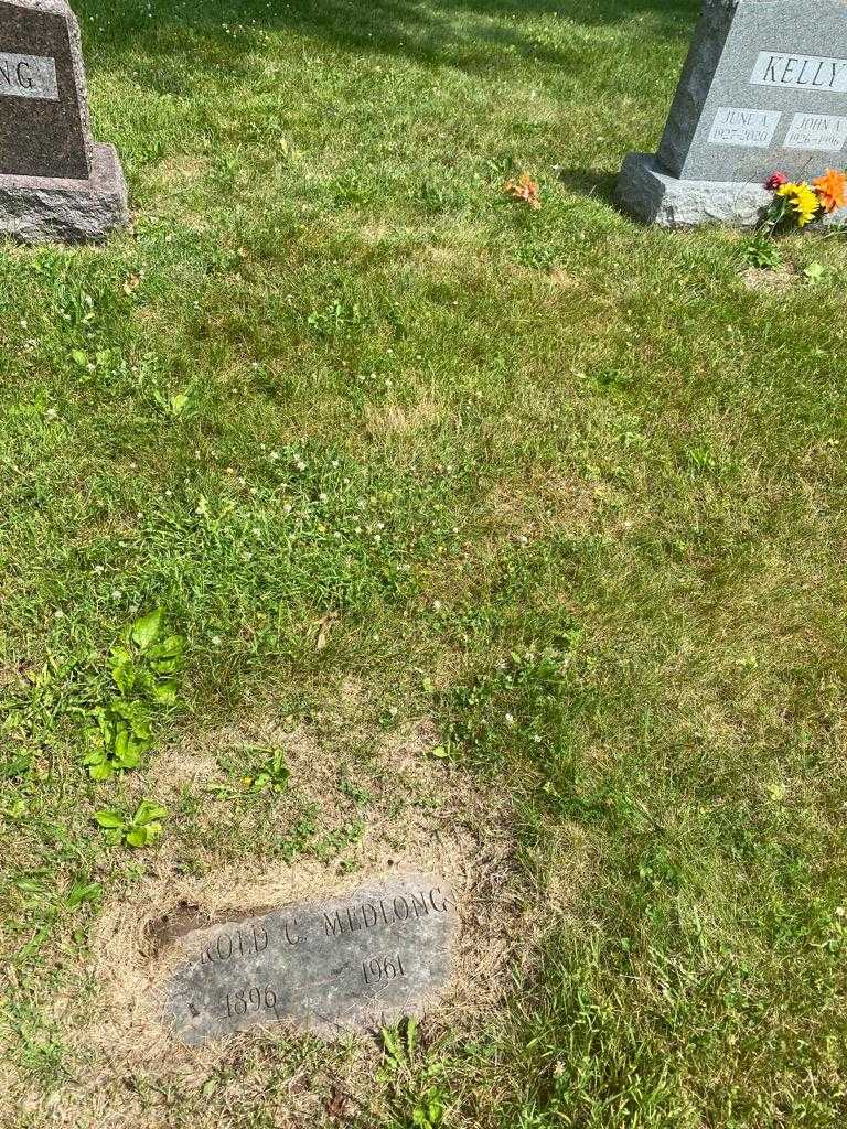 Garold C. Medlong's grave. Photo 1