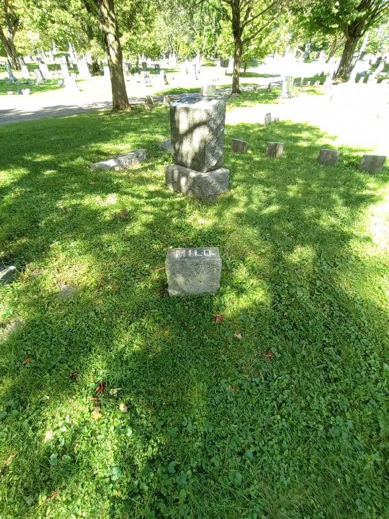 Milo D. Billington's grave. Photo 1