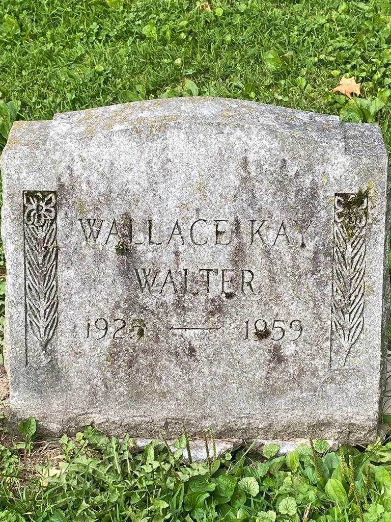 Wallace Kay Walter's grave. Photo 3