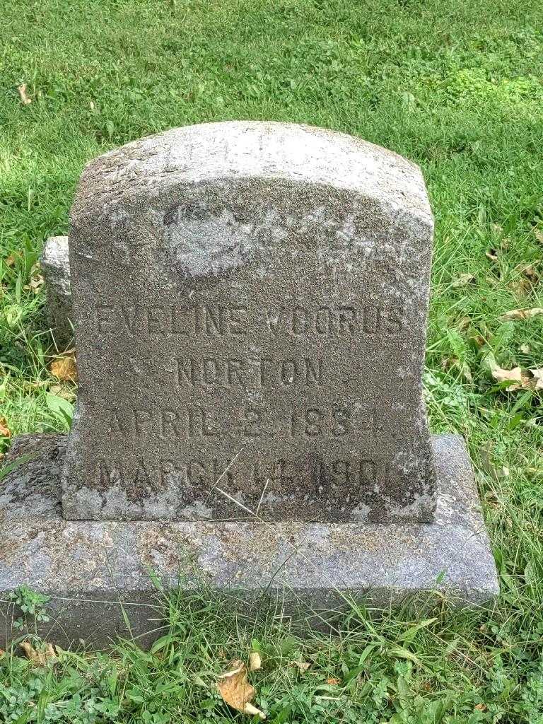 Eveline Norton Voorus's grave. Photo 3