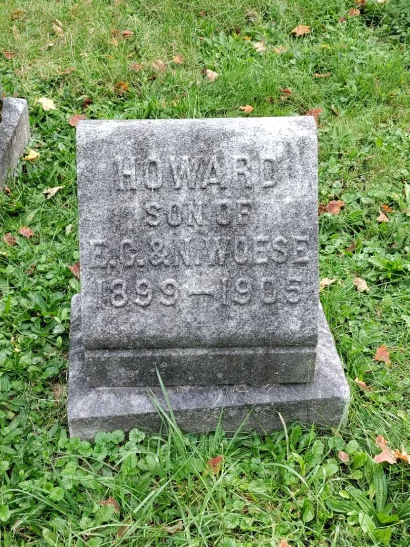 Howard C. Woese's grave. Photo 3