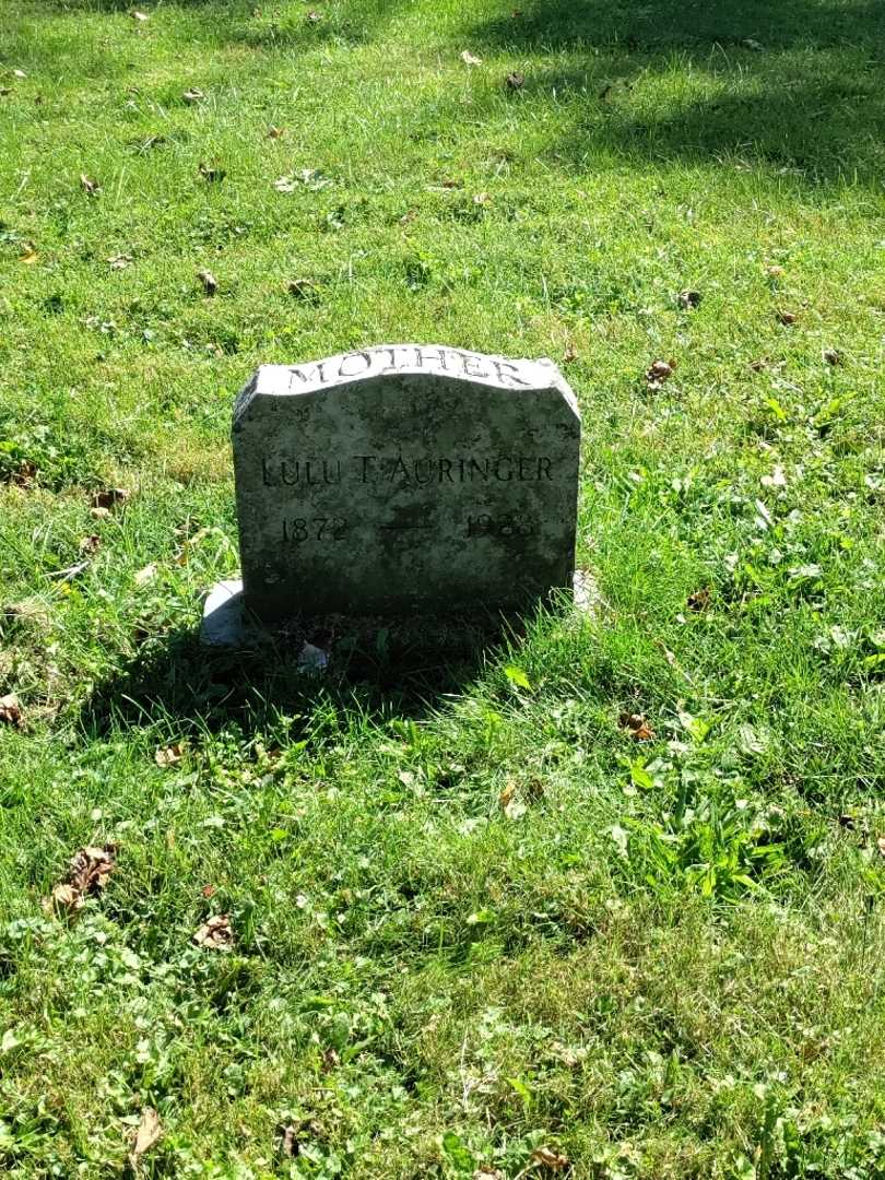 Lulu T. Auringer's grave. Photo 2