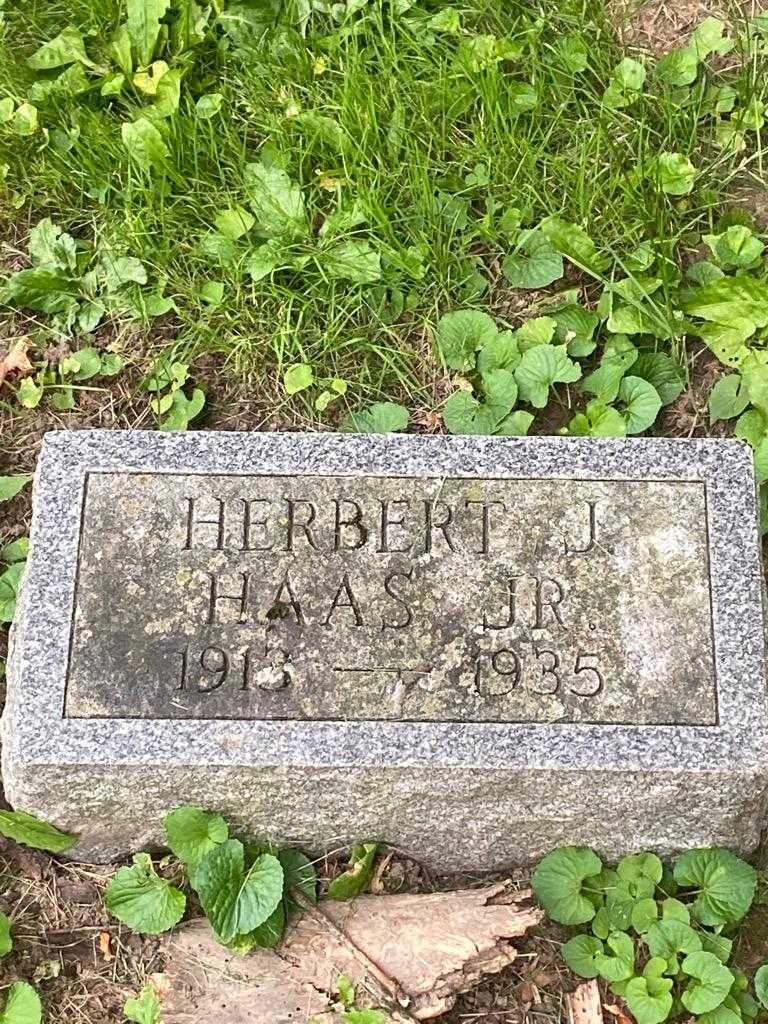 Herbert J. Haas Junior's grave. Photo 3