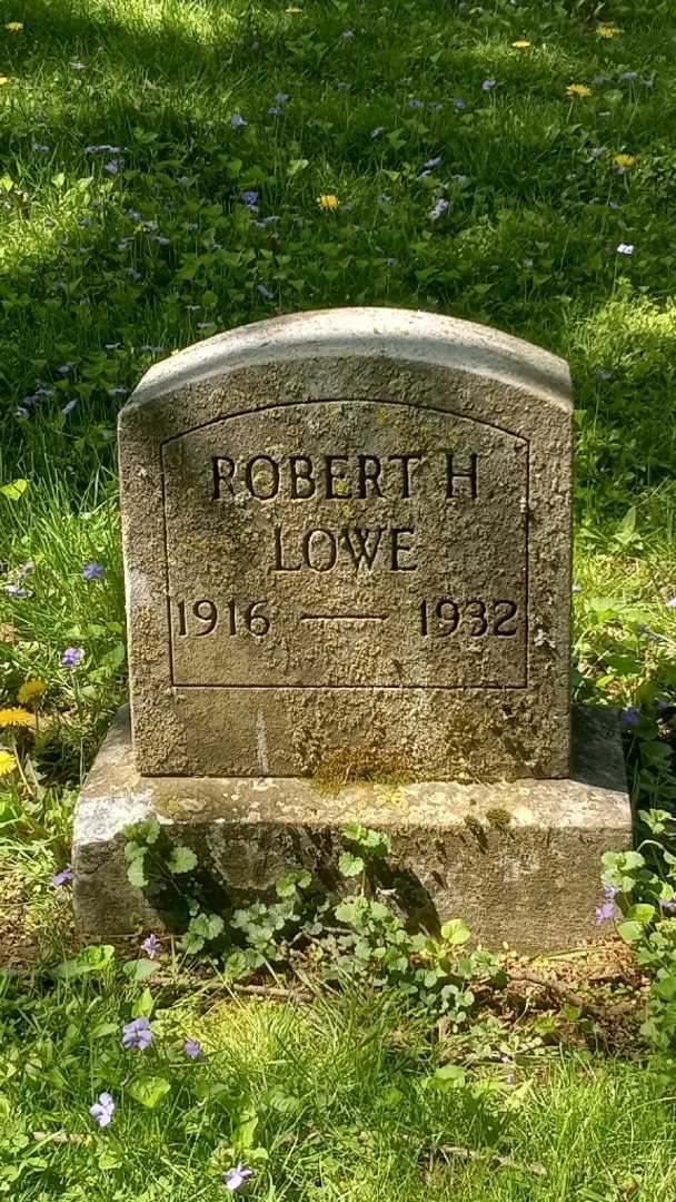 Robert H. Lowe's grave. Photo 2