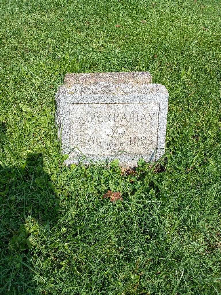 Albert A. Hay's grave. Photo 3