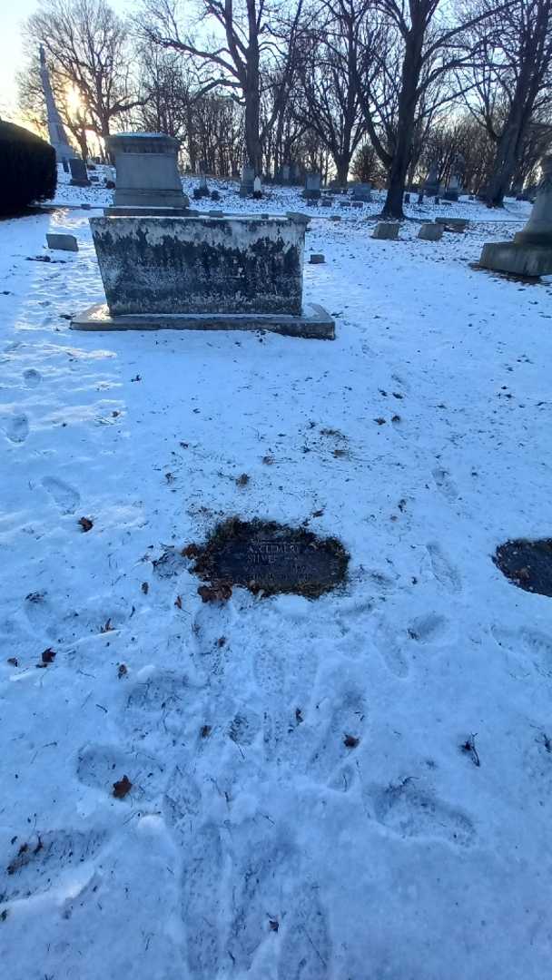 Doctor Abraham Clement Silverman's grave. Photo 1