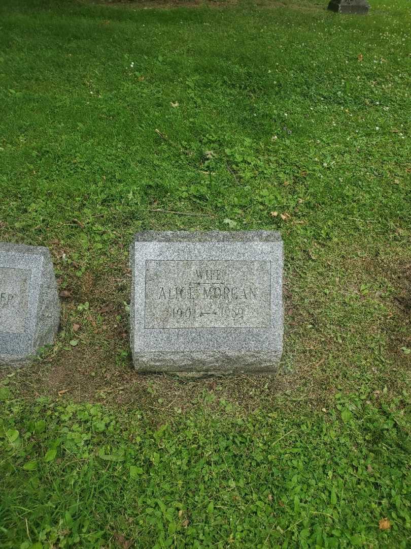 Alice Miller Morgan's grave. Photo 2