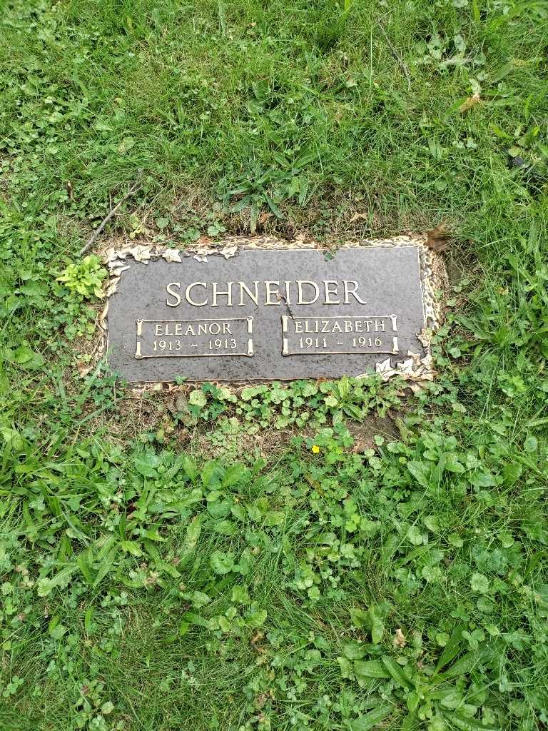 Elizabeth Schneider's grave. Photo 3