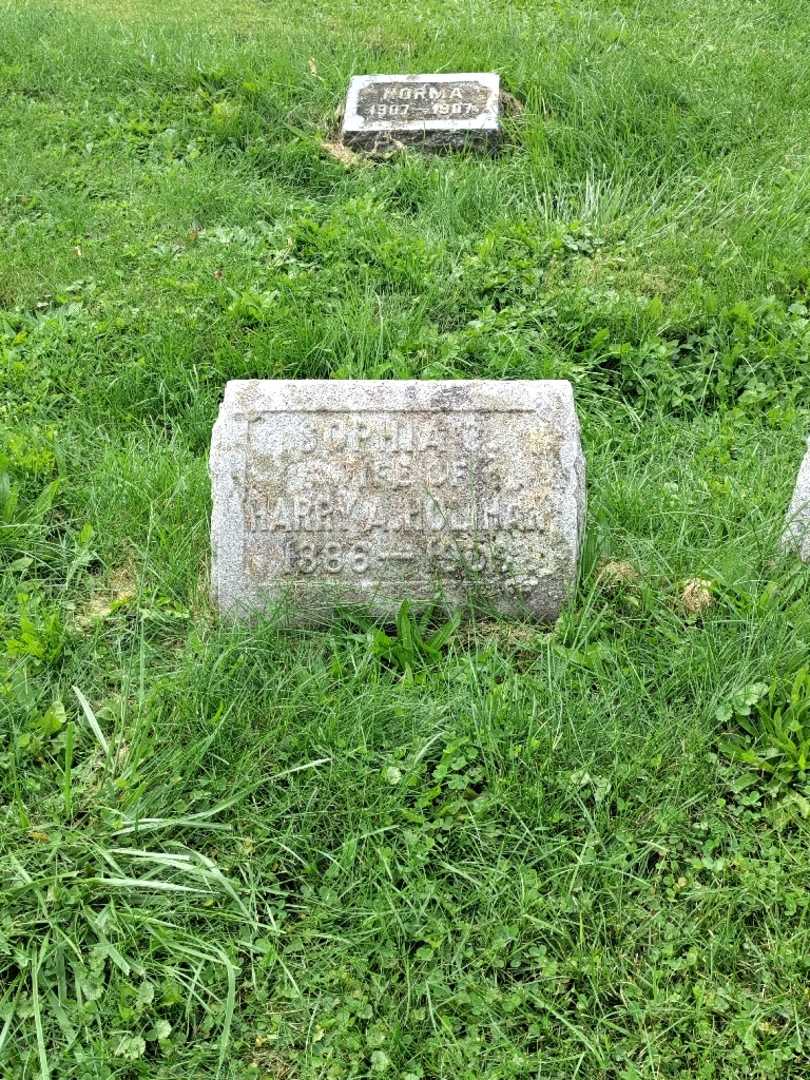 Sophia Holihan's grave. Photo 2