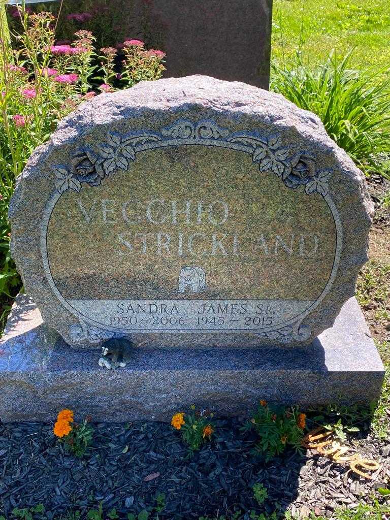 Sandra Vecchio Strickland's grave. Photo 3