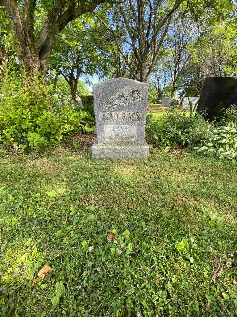 Eugene Andrews's grave. Photo 1