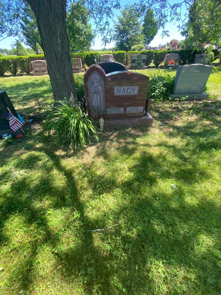 Justina Nagy's grave. Photo 1