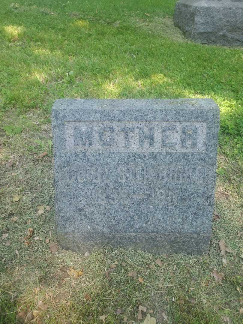 Louise Steinbicker's grave. Photo 3
