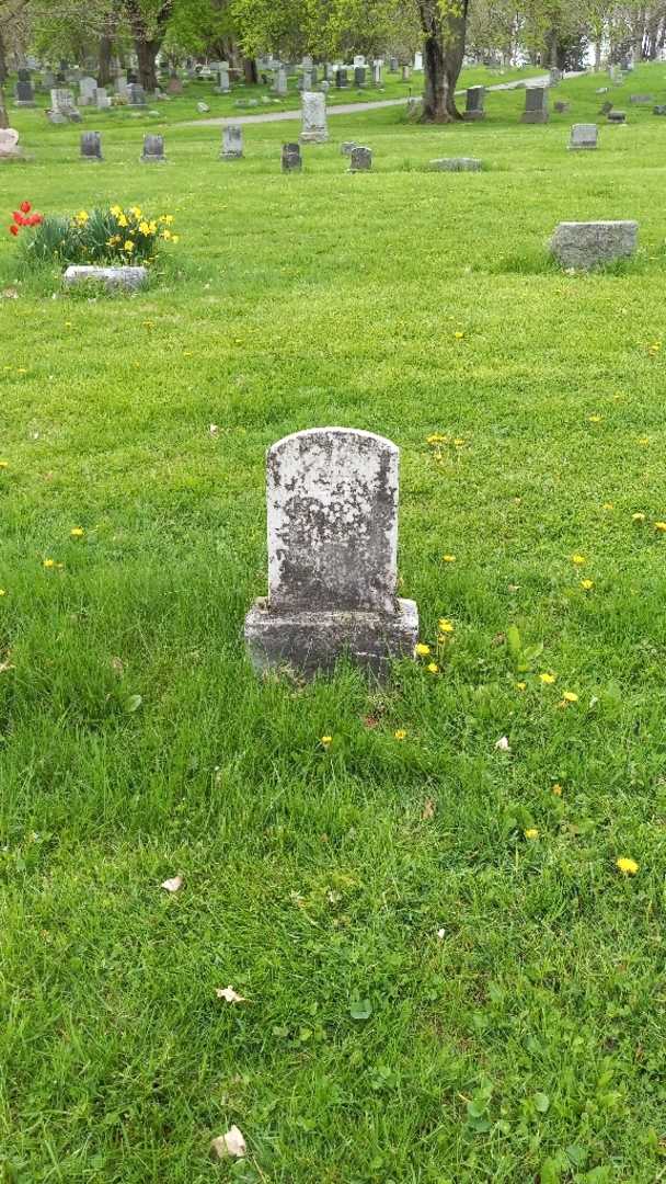 William A. Sherman's grave. Photo 2