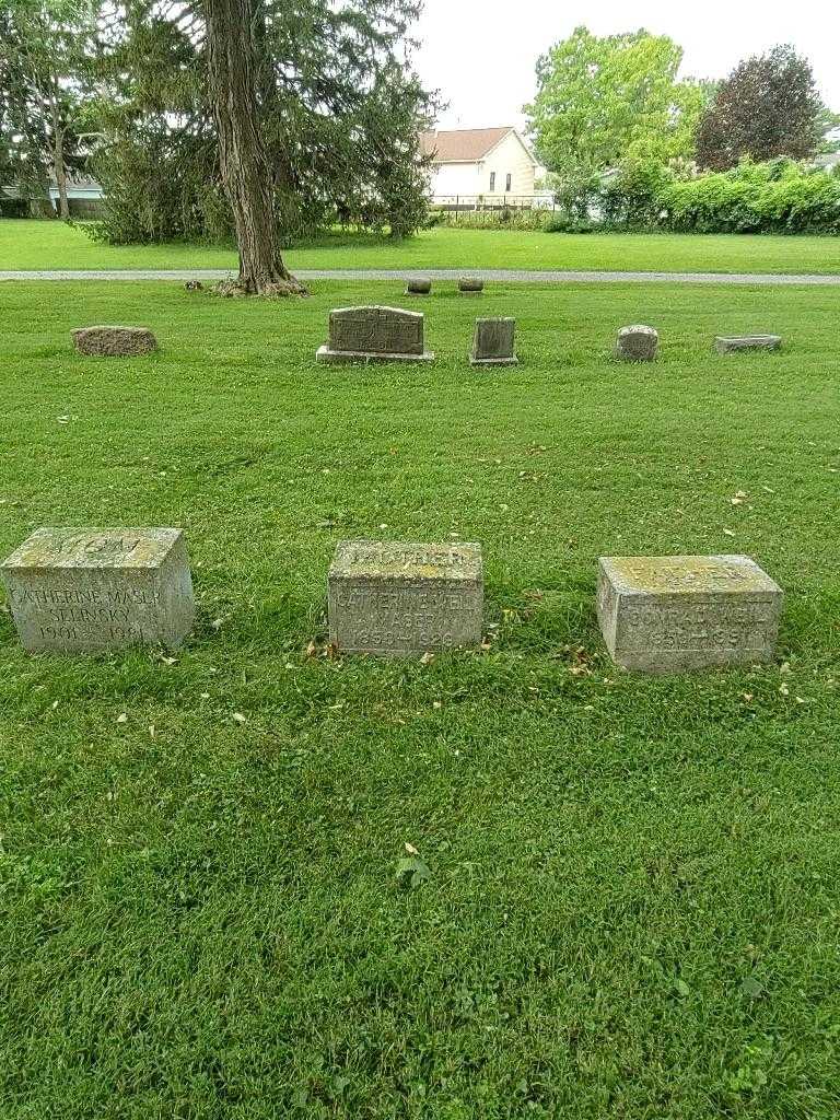 Catherine Weil Maser's grave. Photo 1