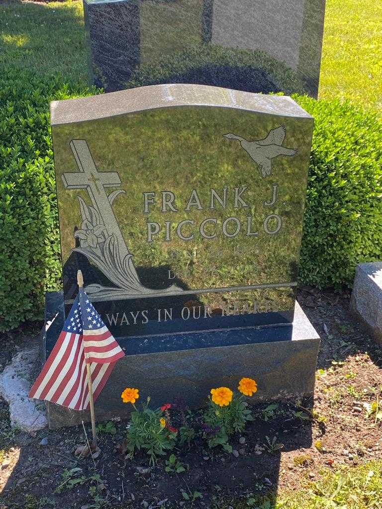 Frank J. Piccolo's grave. Photo 3
