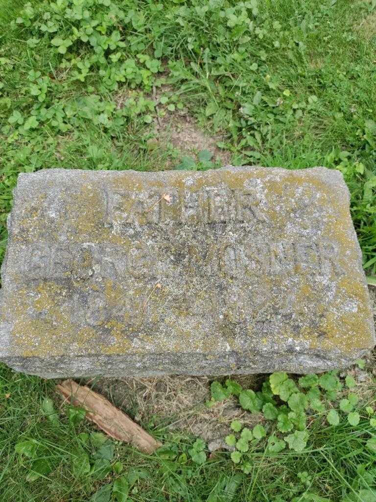 George Mosner's grave. Photo 3