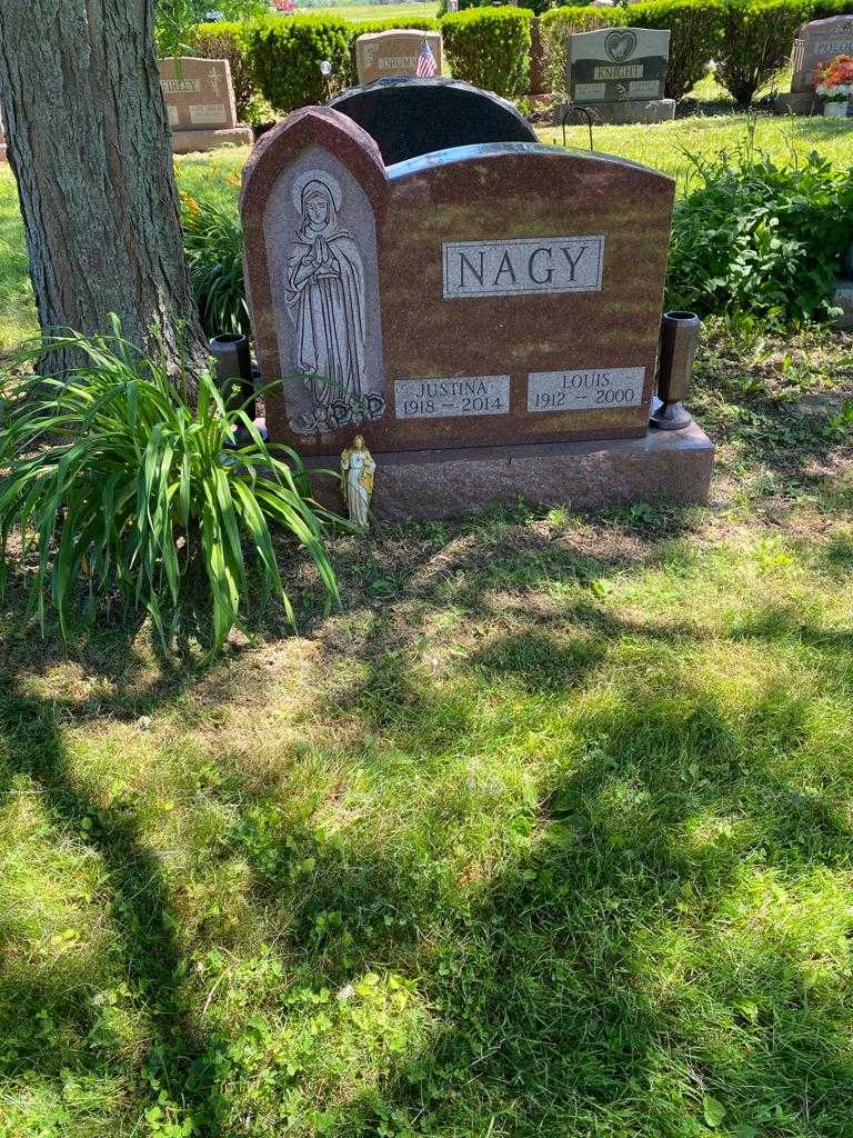 Justina Nagy's grave. Photo 2