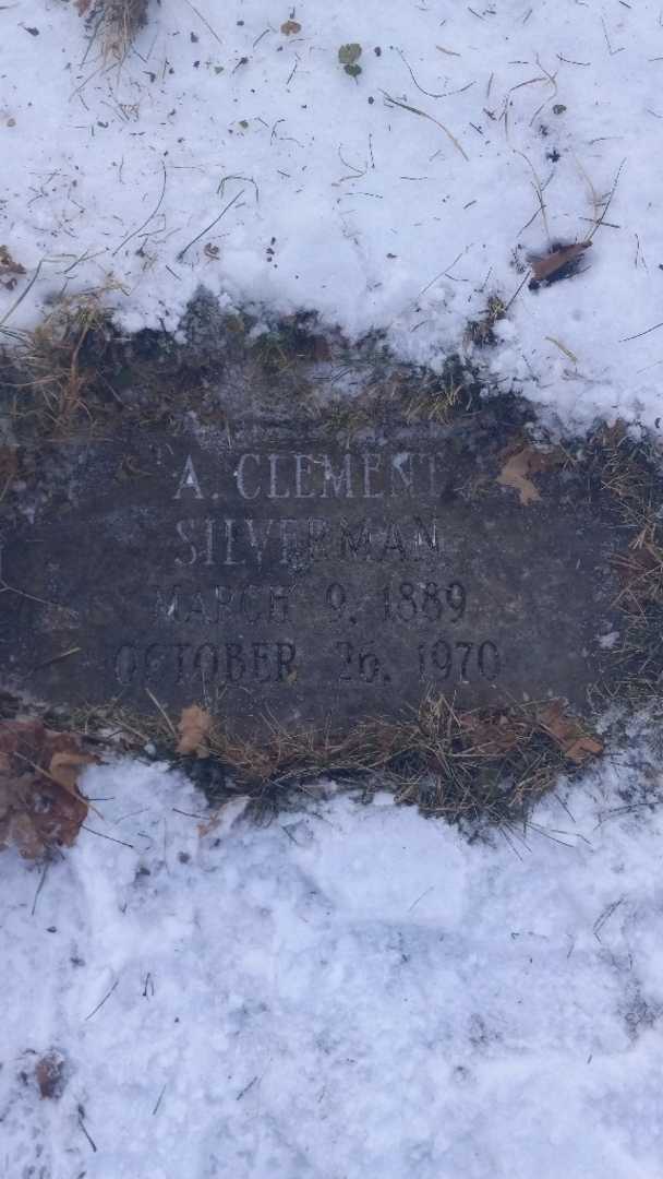 Doctor Abraham Clement Silverman's grave. Photo 2