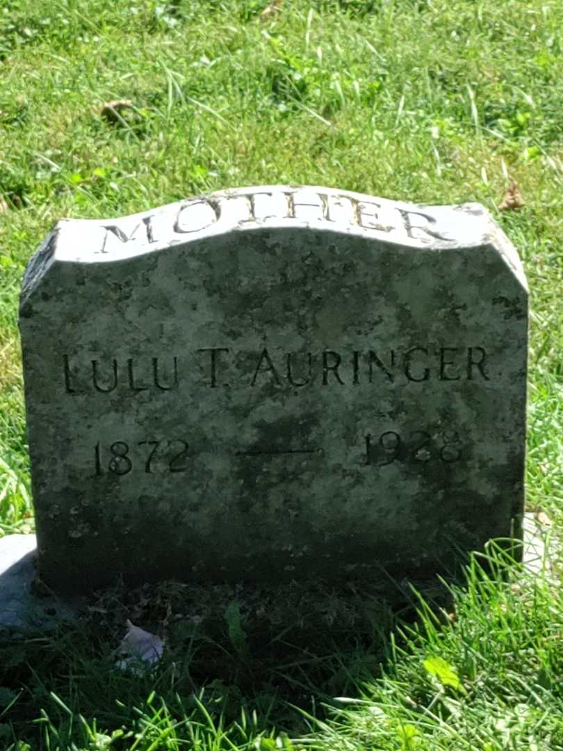 Lulu T. Auringer's grave. Photo 3