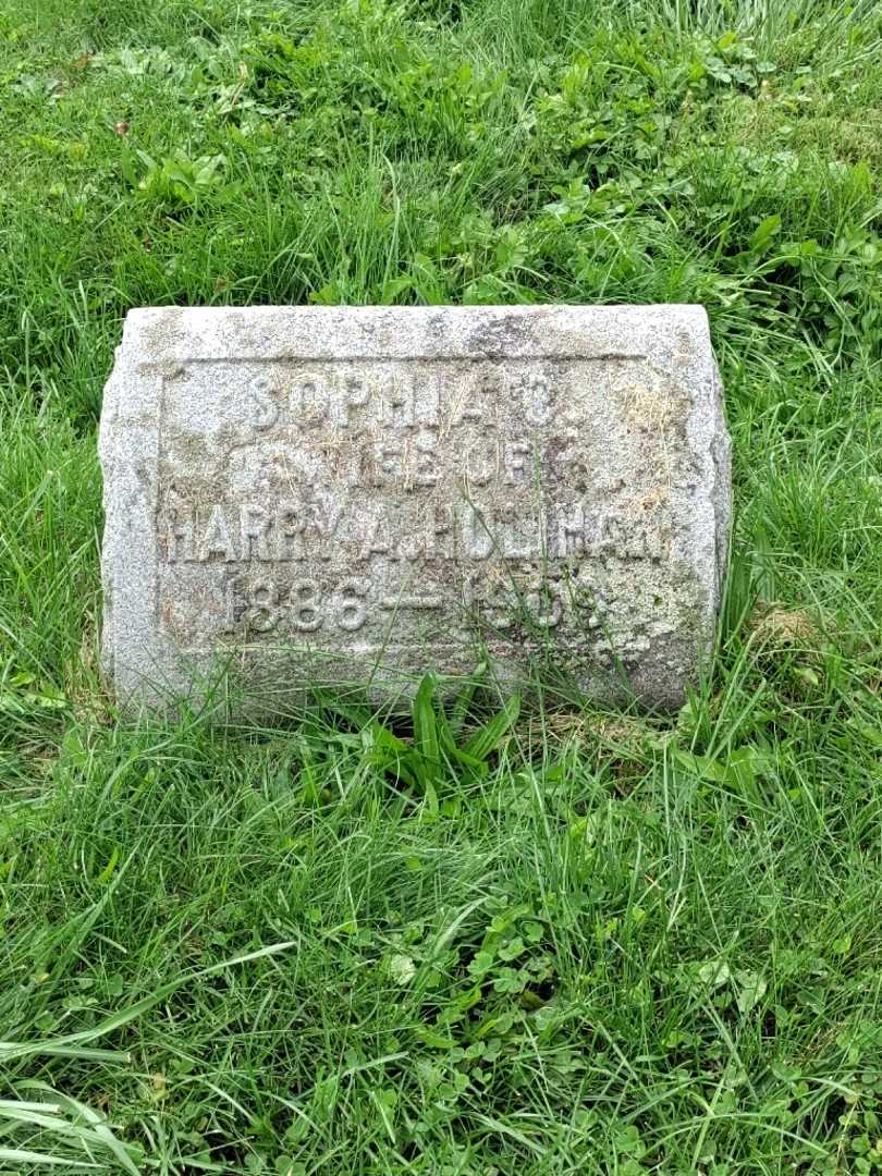 Sophia Holihan's grave. Photo 3