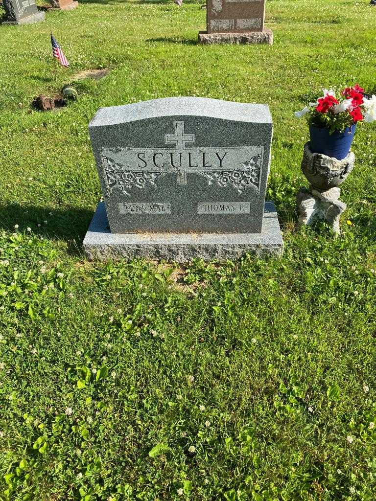 Thomas F. Scully's grave. Photo 2