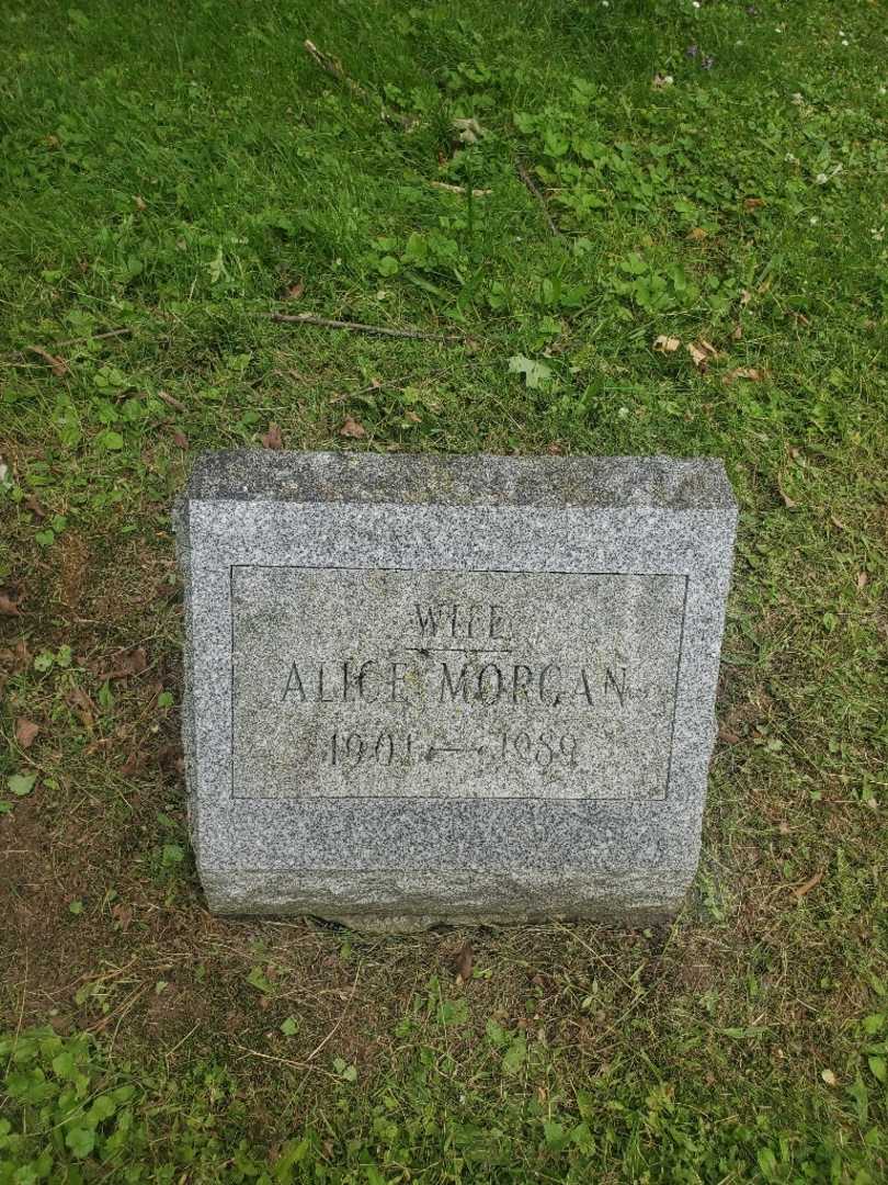 Alice Miller Morgan's grave. Photo 3