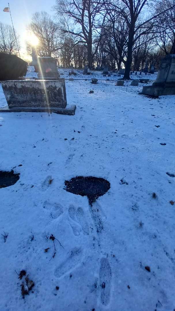 Hilda Silverman's grave. Photo 1