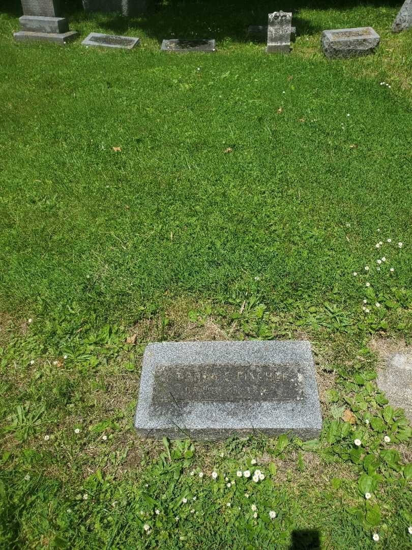 Amanda C. Fischer's grave. Photo 3