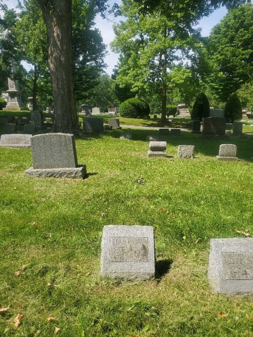 Harry William Stevens's grave. Photo 1