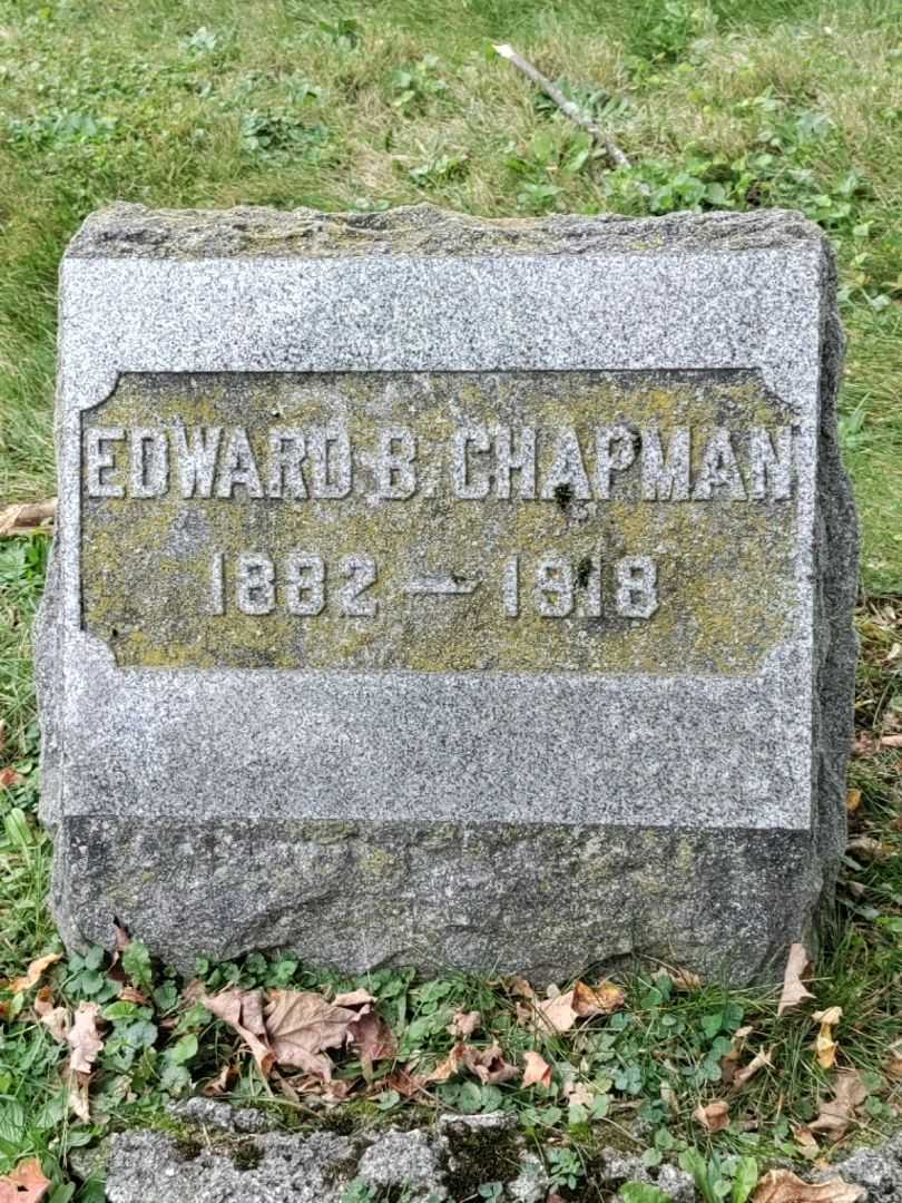 Mary Amelia Chapman's grave. Photo 1