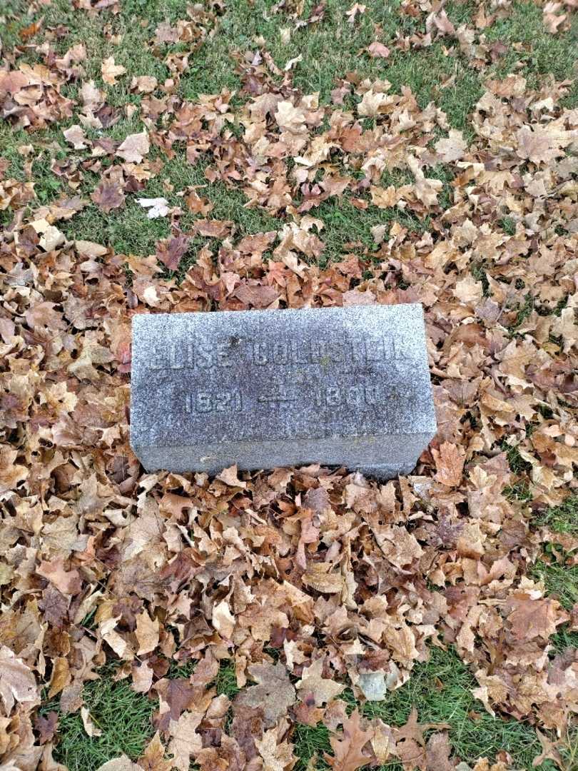 Elise Goldstein's grave. Photo 2
