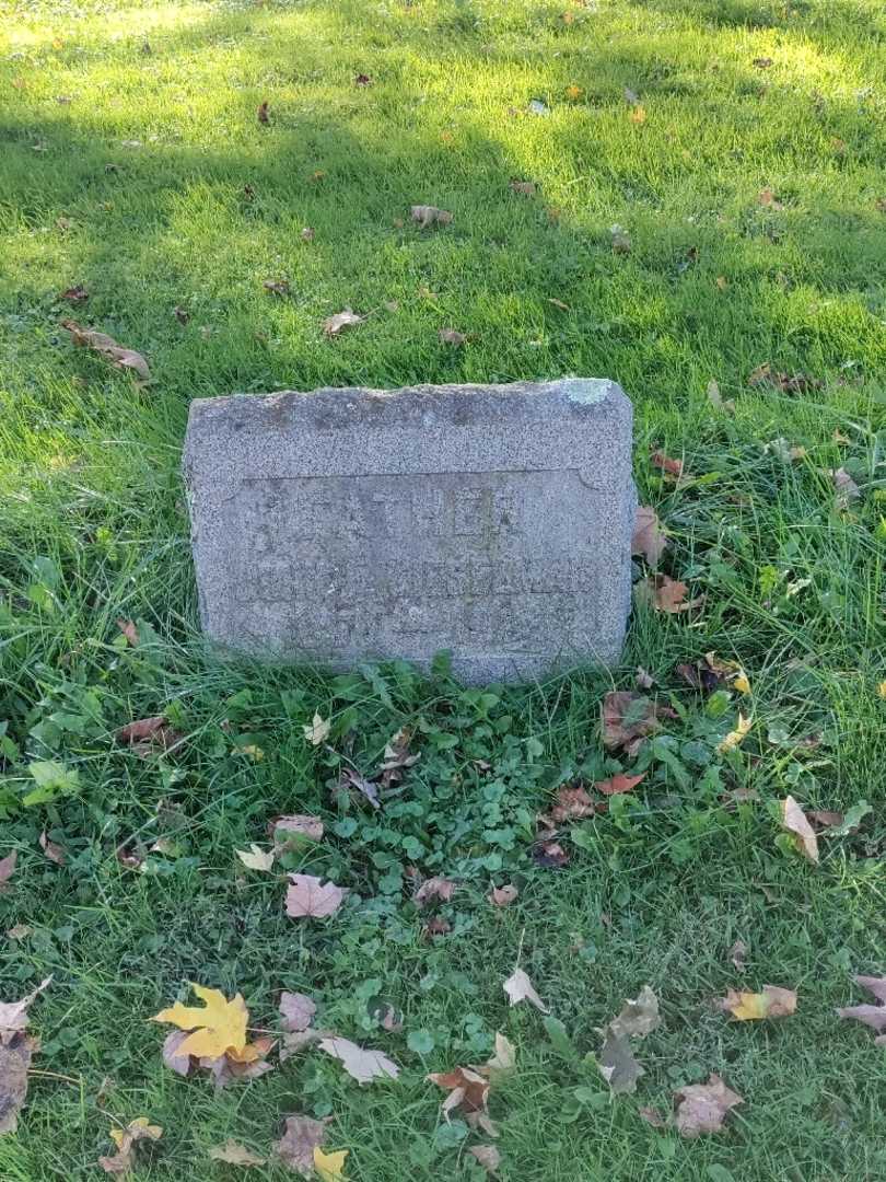 John F. Gieselman's grave. Photo 2