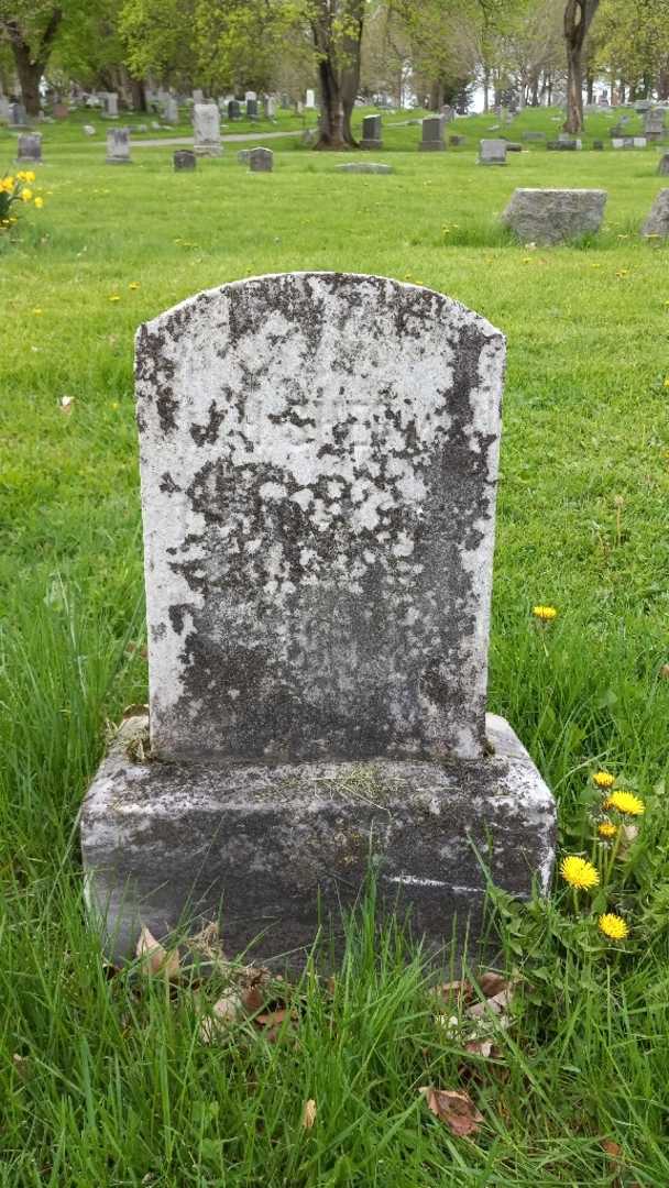 William A. Sherman's grave. Photo 3