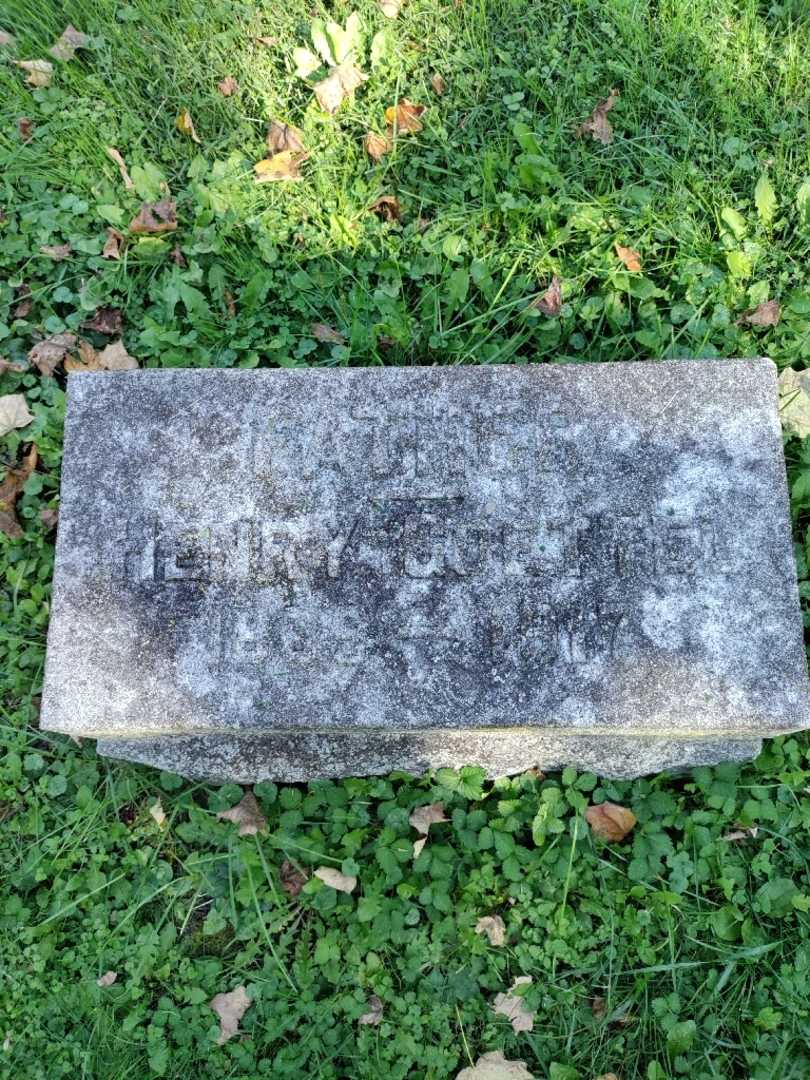 Henry Goettel's grave. Photo 3