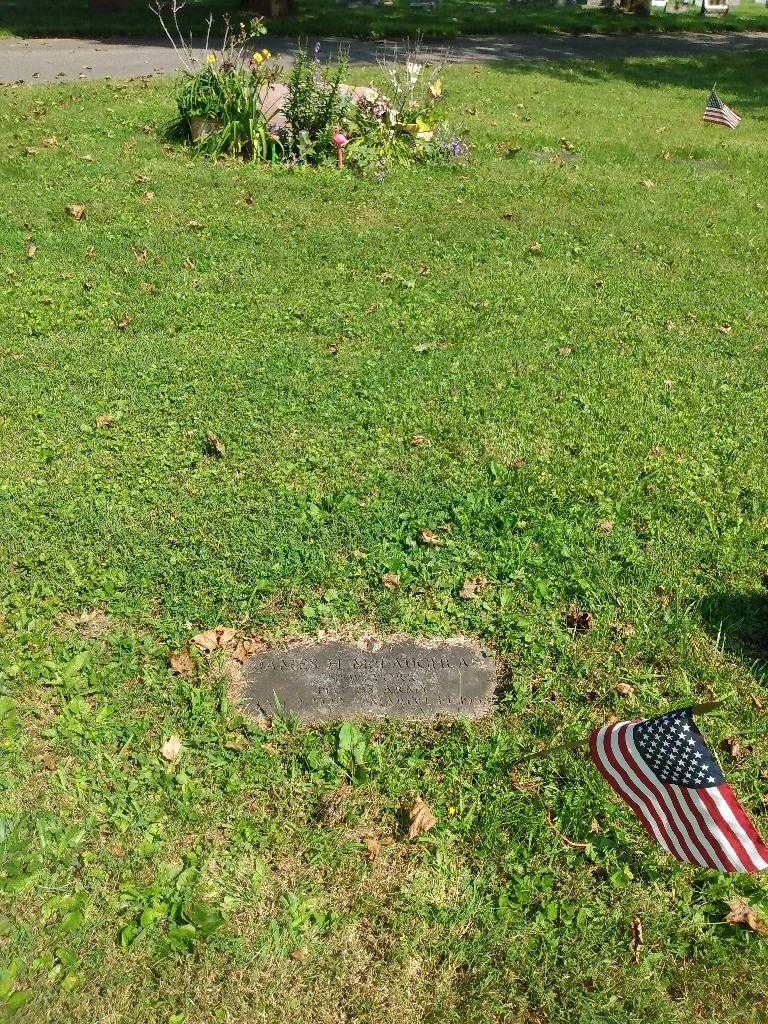 James H. McLaughlan US Army's grave. Photo 2