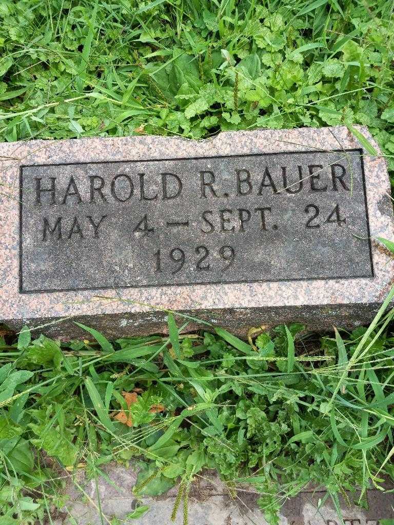 Harold R. Bauer's grave. Photo 1